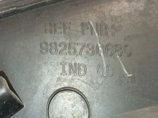  9825736680 Peugeot/Citroen