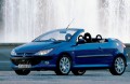 Piezas de repuesto Peugeot 206 (2000 - 2007)