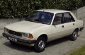 Piezas de repuesto Peugeot 305 II (1982 - 1990)