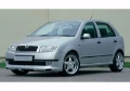 Skoda Fabia (2021 - 2025)